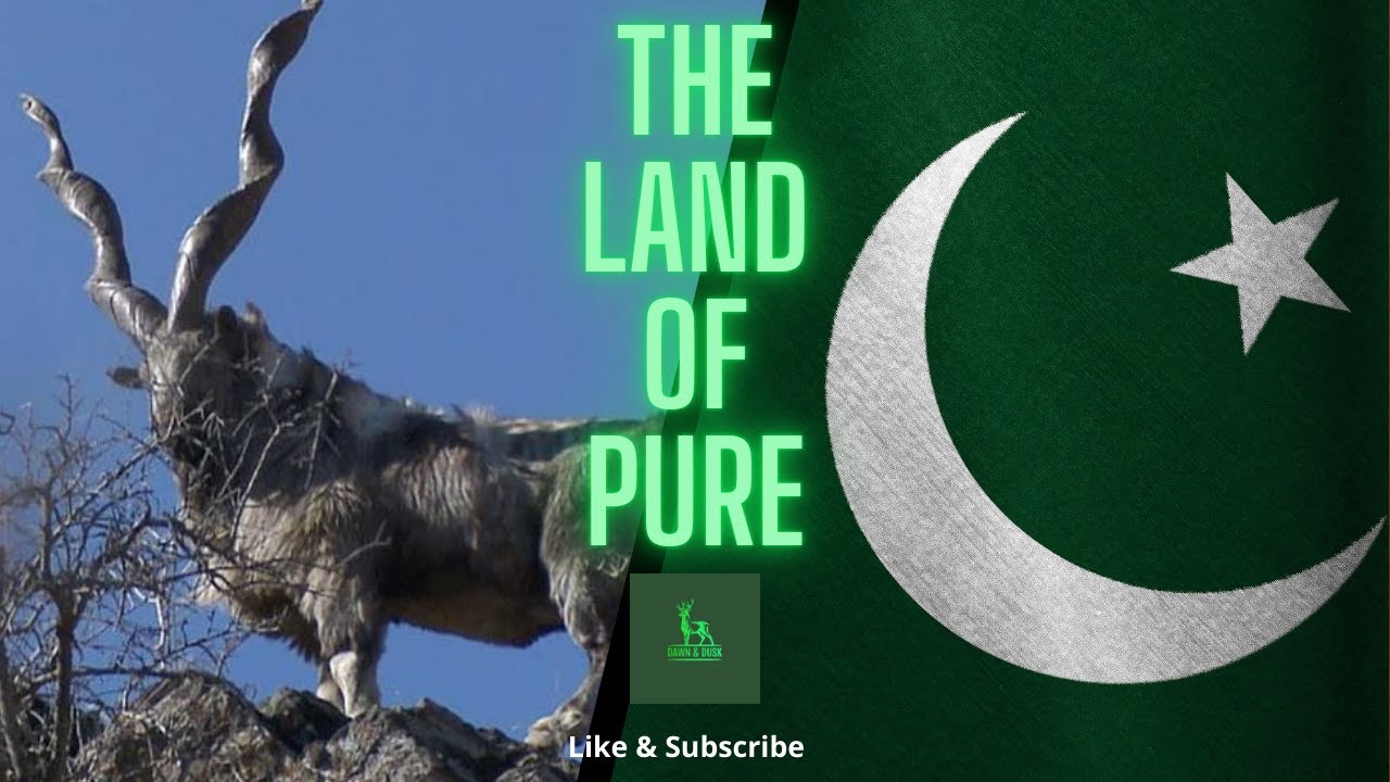 Pakistan | Pakistan tour | Emerging Pakistan | Beautiful Pakistan | The land of Pure