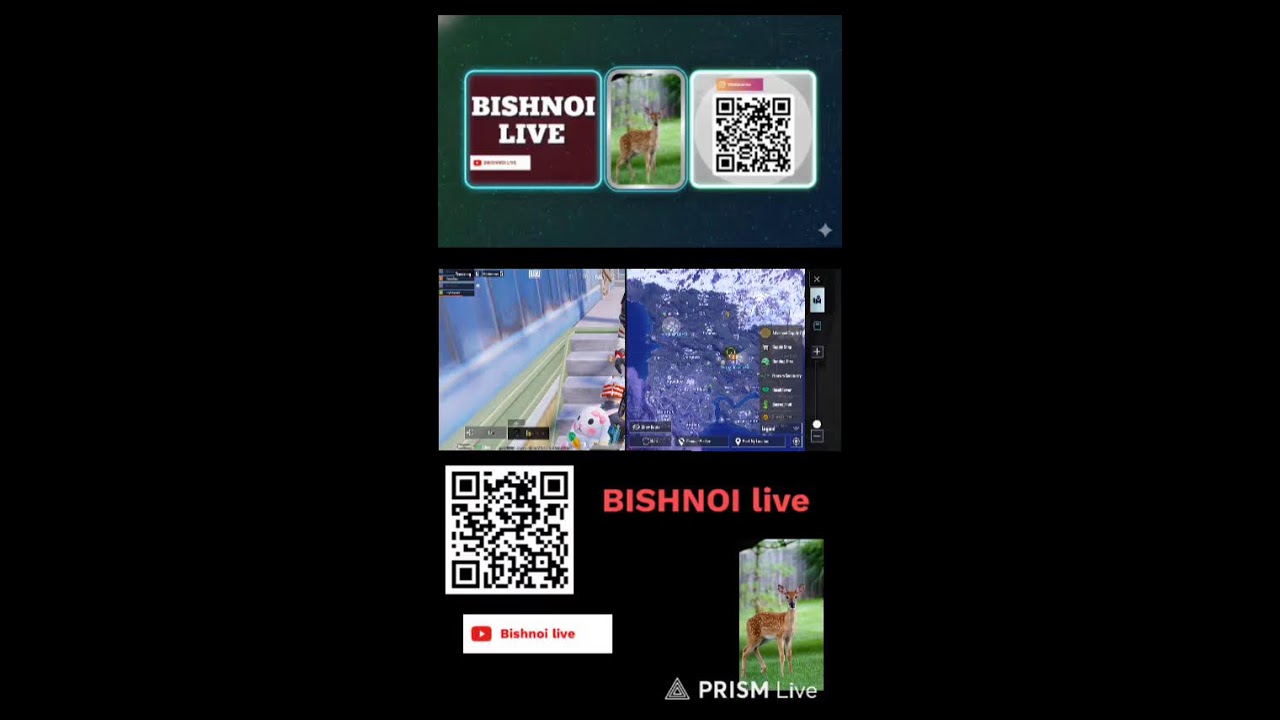 Live streaming of KS_029