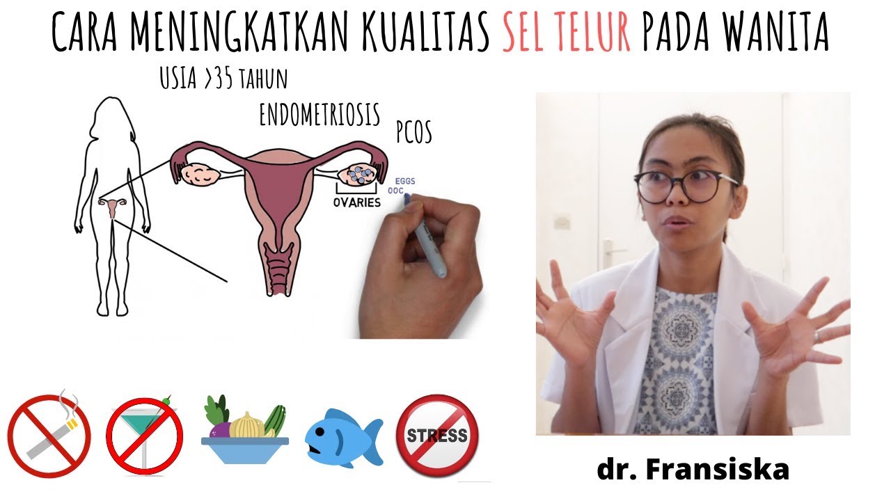 CARA MENYUBURKAN SEL TELUR