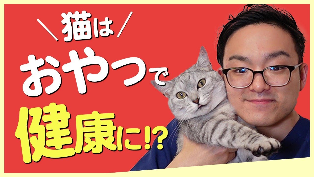 【あげるならこれ！！】健康になるかも！？な猫のおやつ3選を獣医さんが紹介