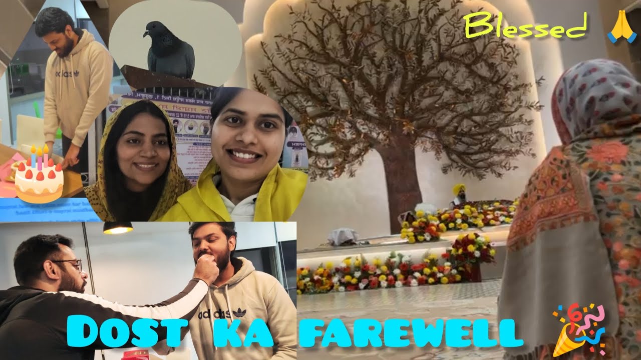 Hum gye Gurudwara 🙏 Farewell Kiya celebrate 💐 Day 4 #theshalinichaudhary #365days365vlogschallenge