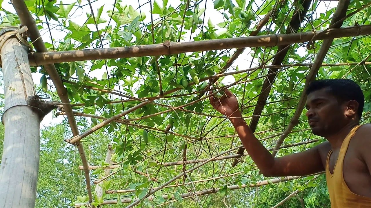 Kunduri chasa
