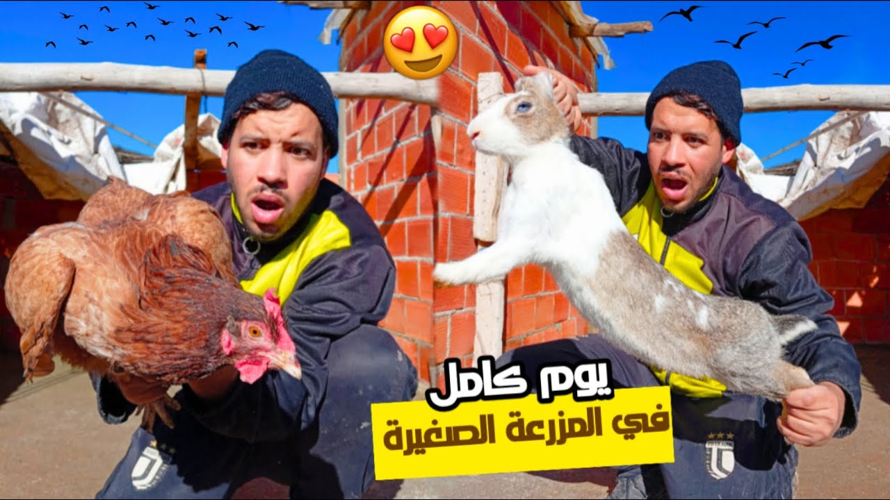 روتين يوم كامل مع حيواناتي 🐓 حياة المزرعة من الصباح إلى الليل 🌅🌙
