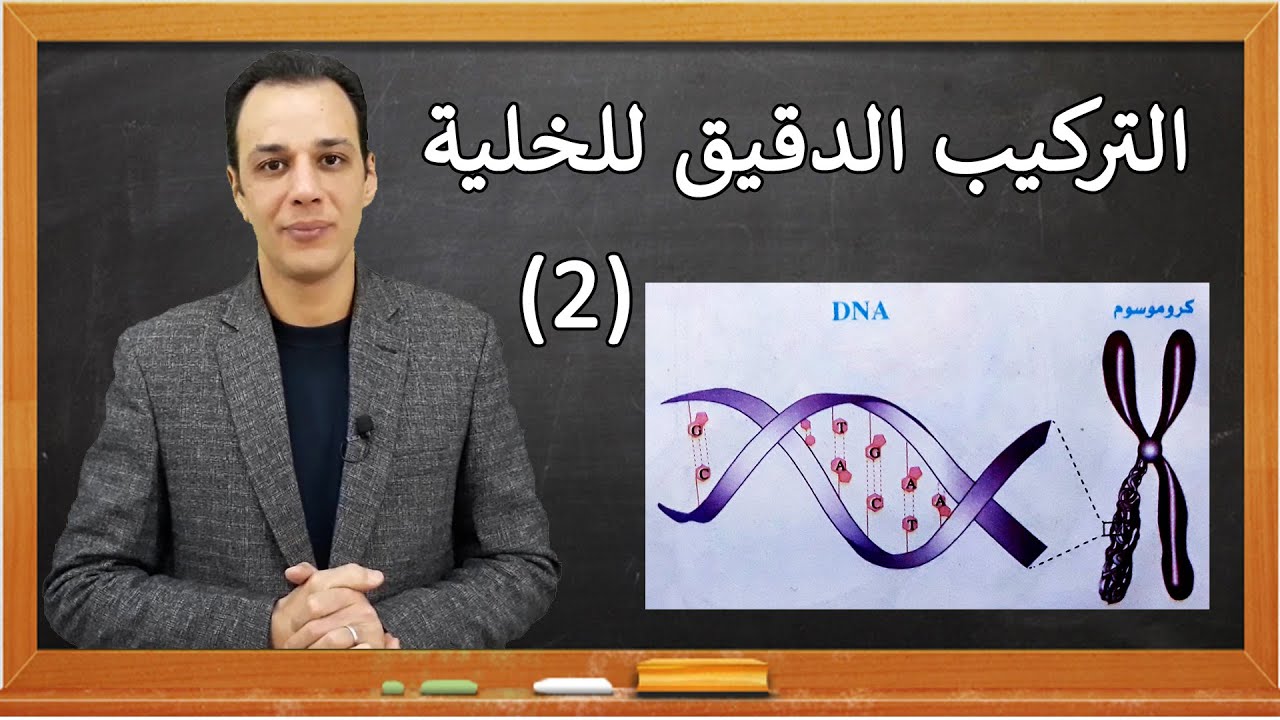 07- التركيب الدقيق للخلية (2)