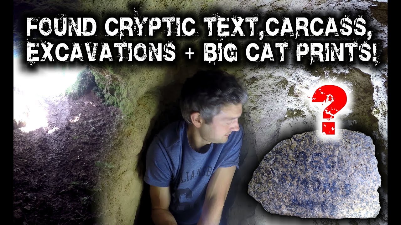 Found Cryptic Text, Carcass, Excavations & Big Cat Prints!