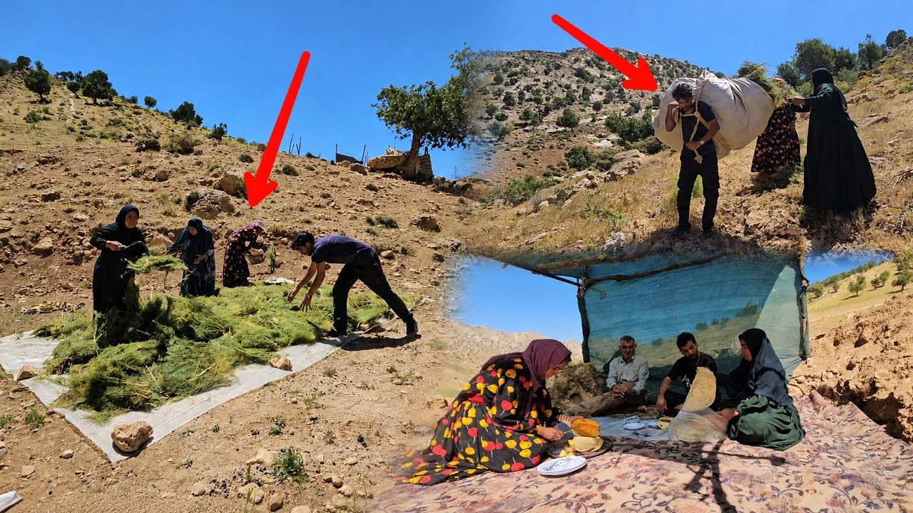 A Day of Hard Work in the Mountains | Traditional Rural Life 🌿