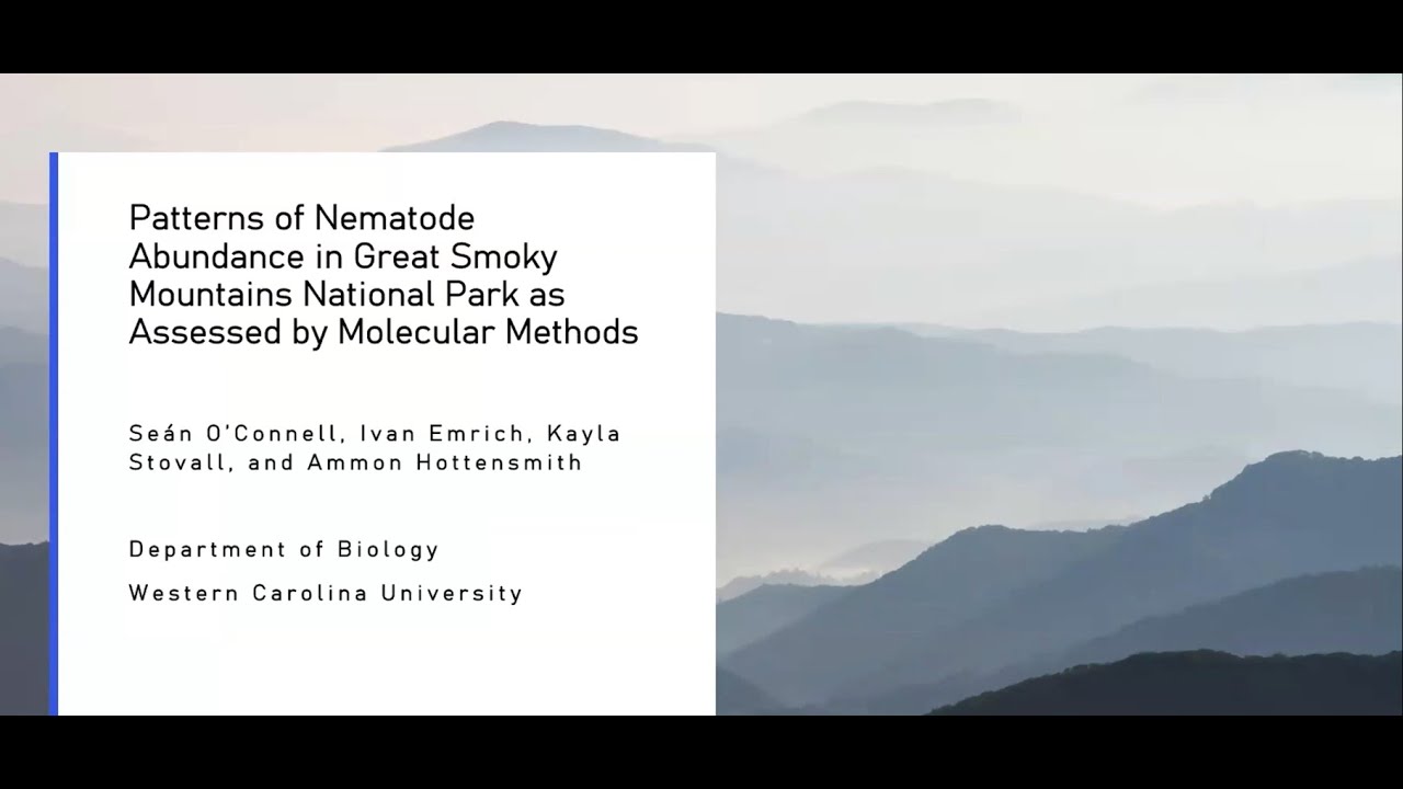 Patterns of nematode abundance in GSMNP as assessed by molecular methods