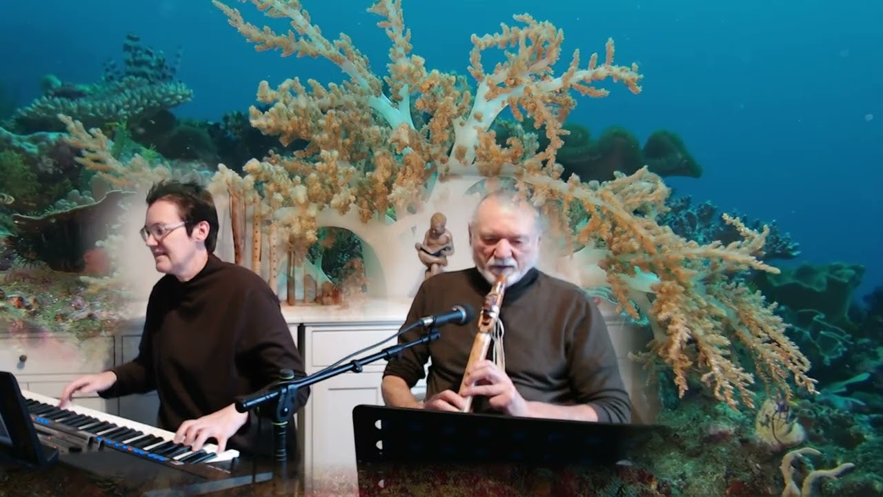 Echoes on the lake - Two Notes - Yamaha PSR SX920 and Native Flute