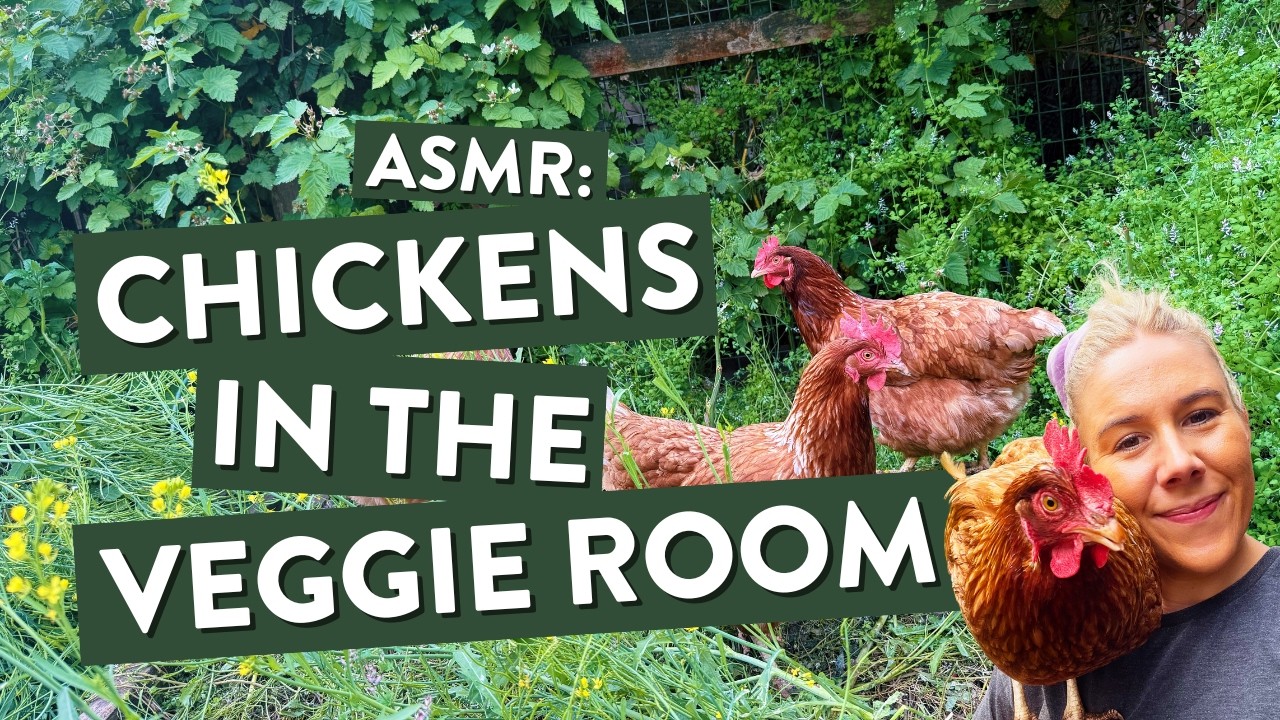 🐔 Relaxing Chicken Sounds: the Chickens in the 'Chicken City' Veggie Room | Hens Clucking | ASMR 🌿
