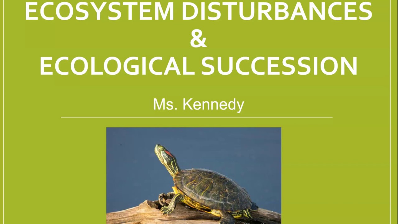 Ecosystem Disturbance & Ecological Succession