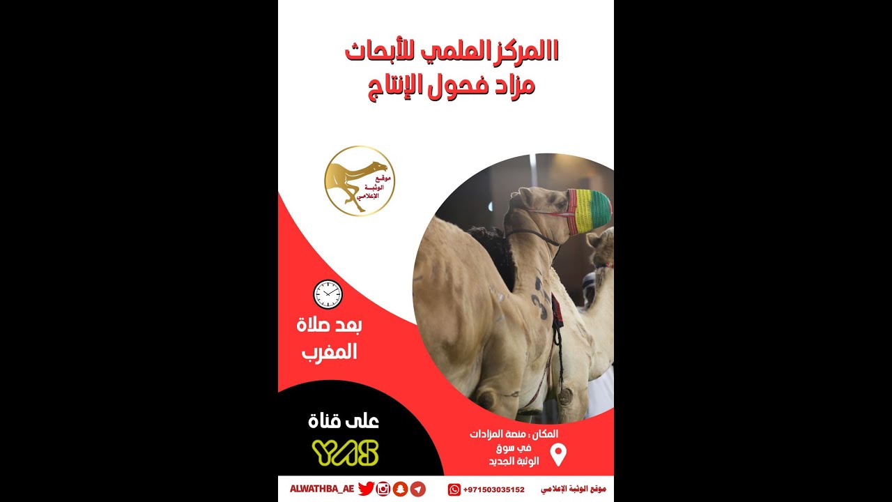 مزاد فحول الانتاج ( المركز العلمي للابحاث ) الاثنين 2023/4/24