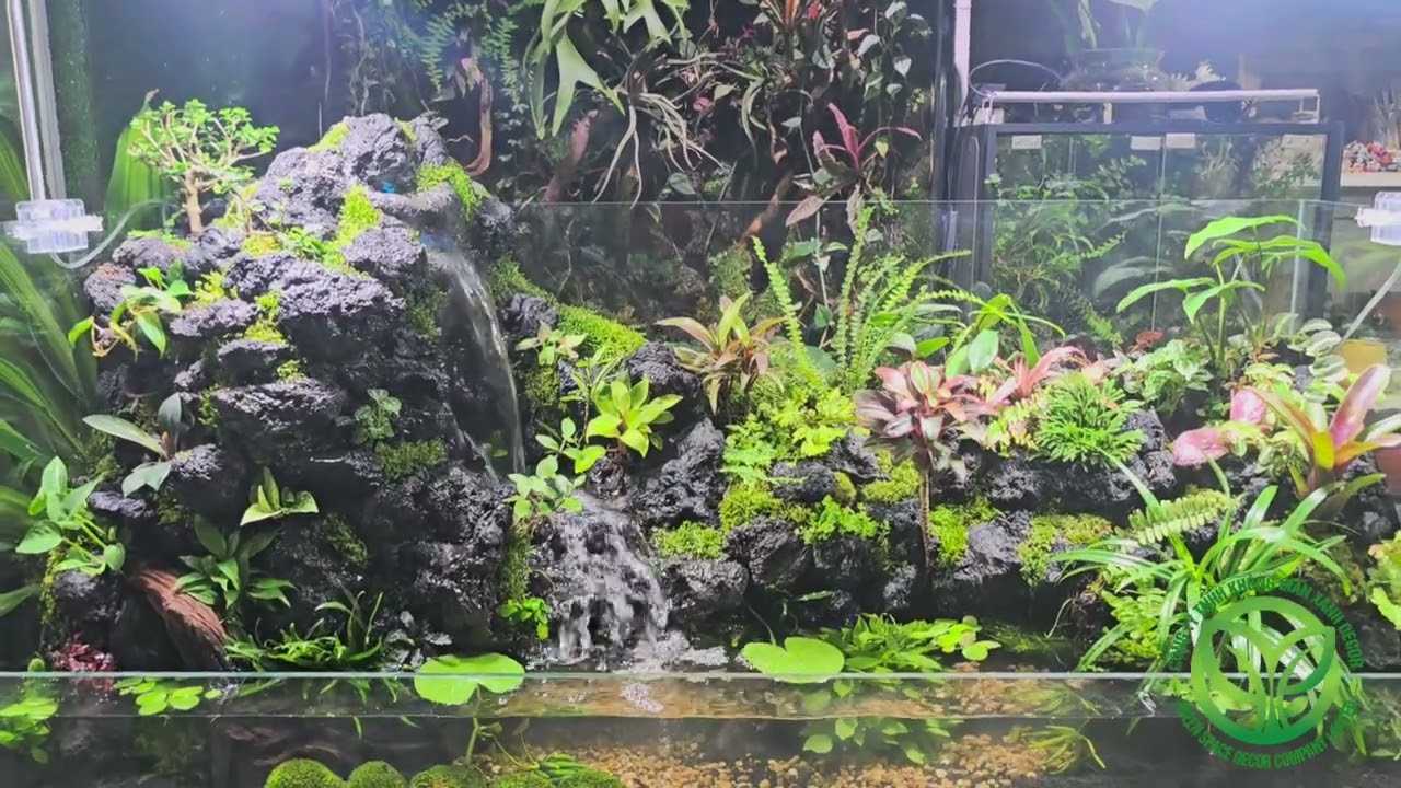 Paludarium Suối Đá Bình Yên 
