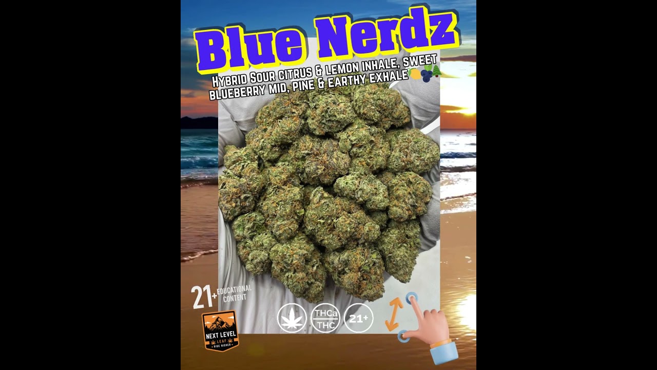 Blue Nerdz THCa Flower | Hybrid | Blueberry Candy & Apple Gas | Euphoric & Clear-Headed | Bulk 