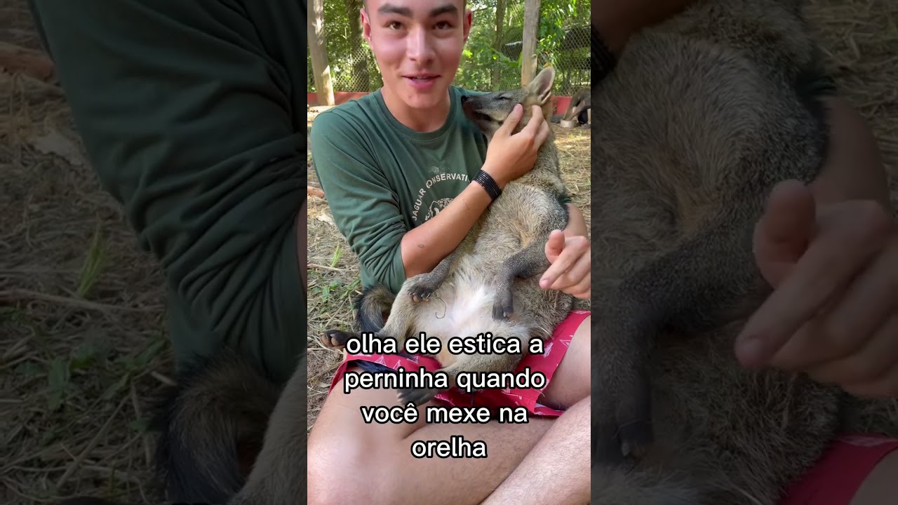 Tinoco, a pessoa mais dorminhoca planeta…