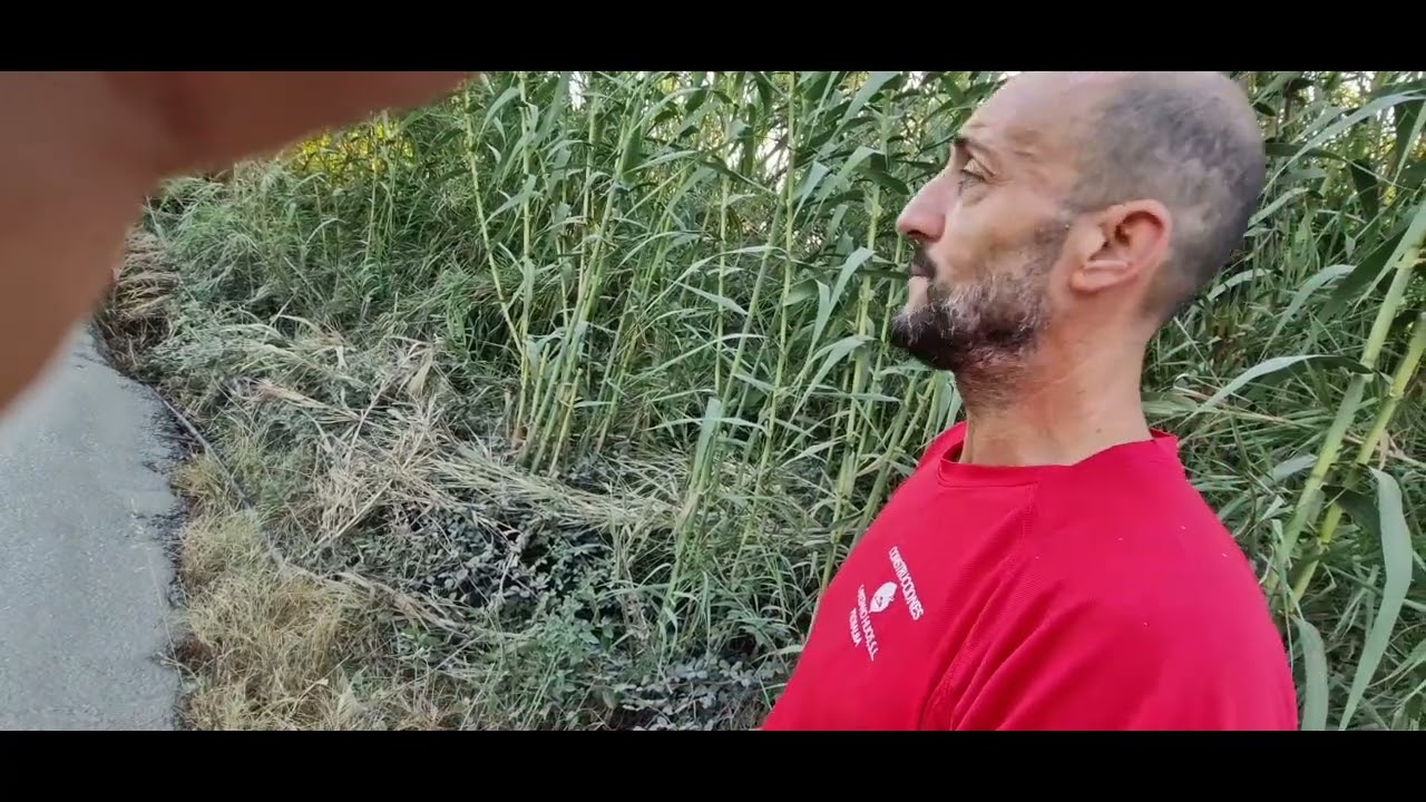 Hormigón y regla vibradora de planta