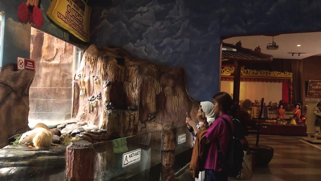 Malang Day #3 (long footage)