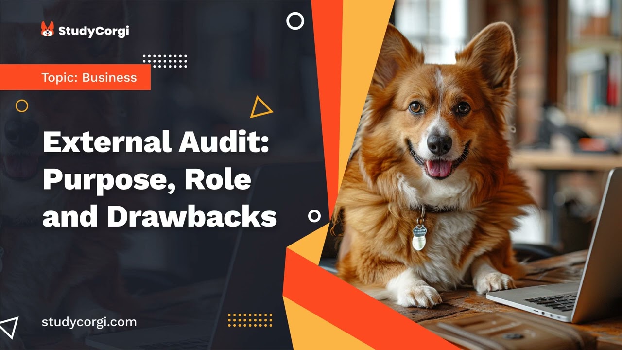 External Audit: Purpose, Role and Drawbacks - Research Paper Example