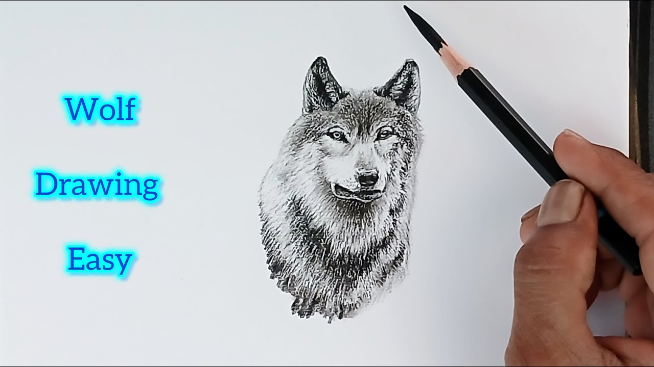 How to draw a wolf face by pencil easy/ live drawing/