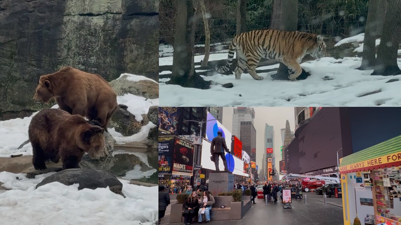 Mai Dostaan naal gaya zoo