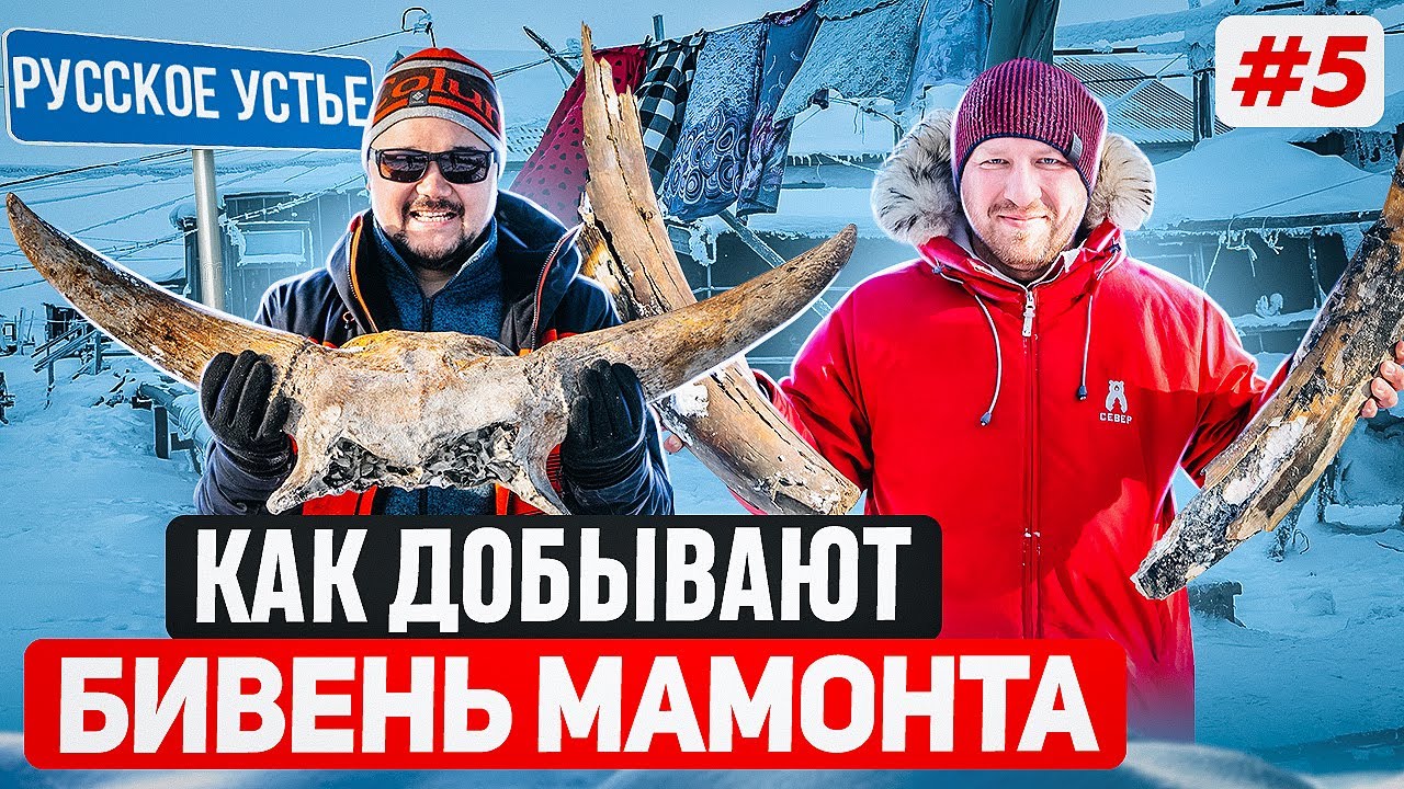 КАК ДОБЫВАЮТ БИВЕНЬ МАМОНТА В ЯКУТИИ НА ИНДИГИРКЕ. КАК ЖИВУТ СТАРОРУСЫ В АРКТИКЕ - РУССКОЕ УСТЬЕ