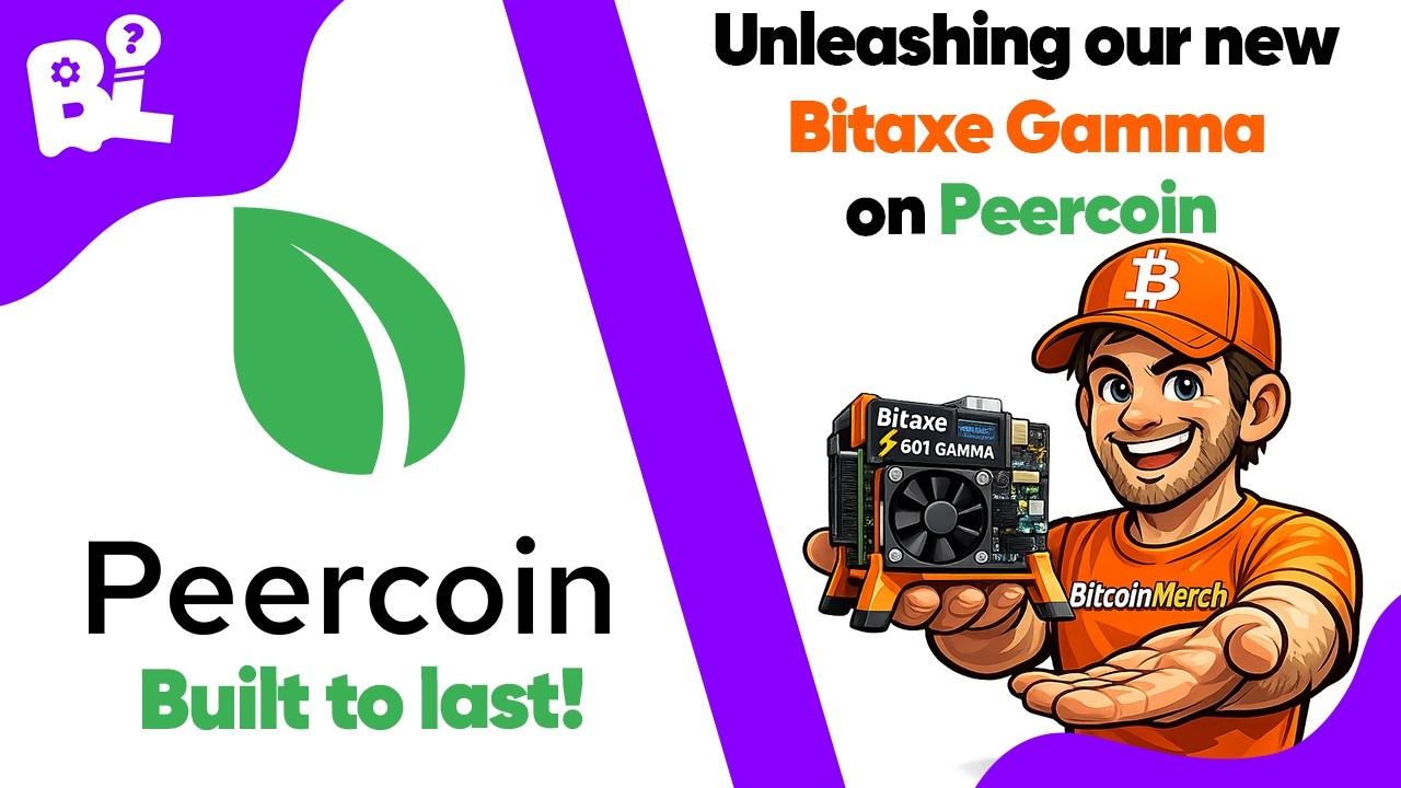 HOW TO MINE PEERCOIN with a Bitaxe Gamma 601 | SHA-256 mining