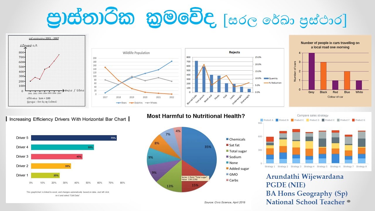 Graphs Made Easy 📊🔥 | Learn Bar, Line & Pie Charts in Minutes! AL/OL Geography Lesson රේඛා ප්‍රස්තාර