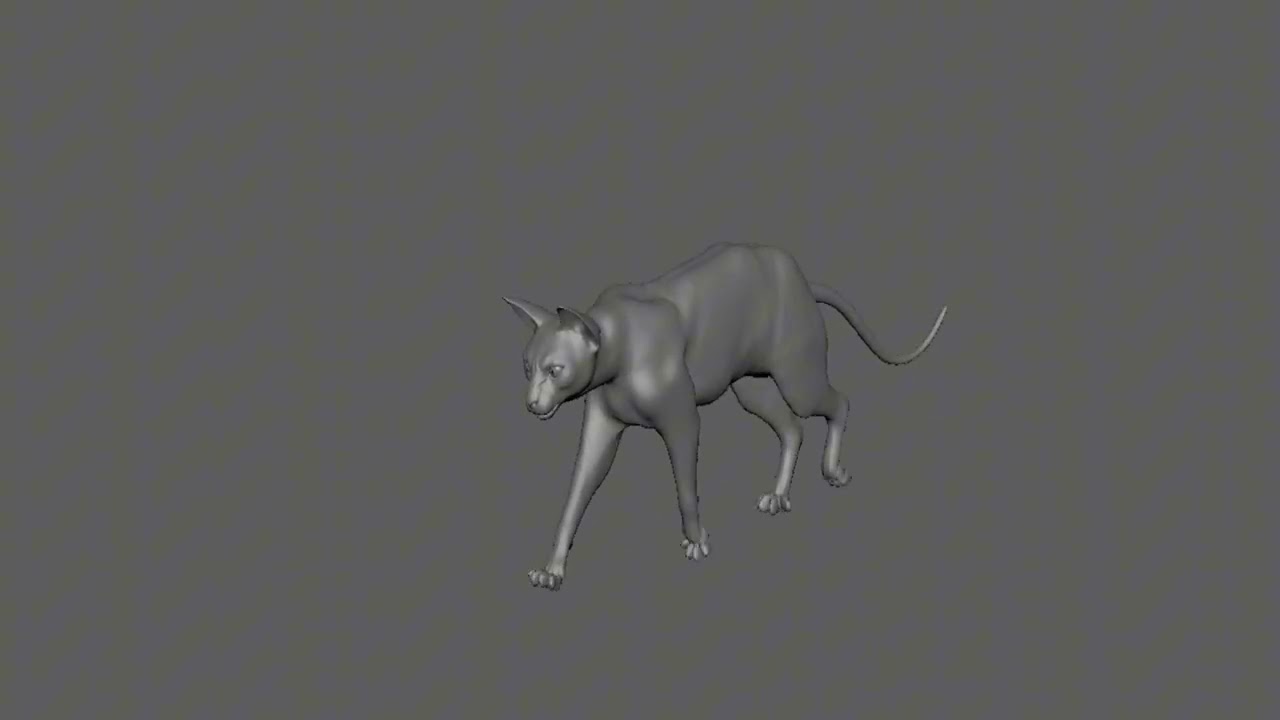 Cat Walk