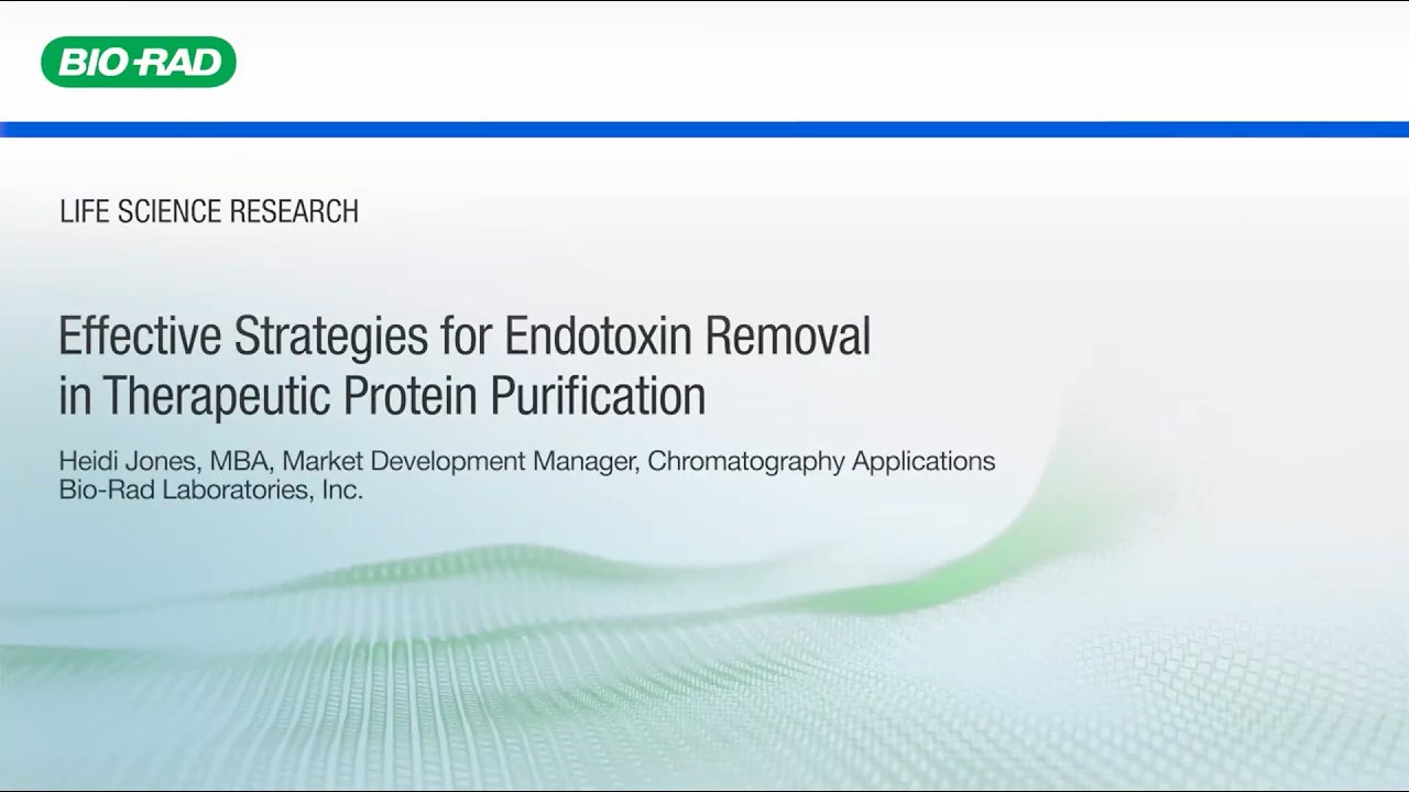 Effective Strategies for Endotoxin Removal in Therapeutic Protein Purification
