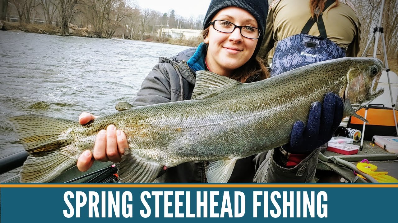 Steelhead Fishing Michigan / Michigan Fishing / Grand River Michigan