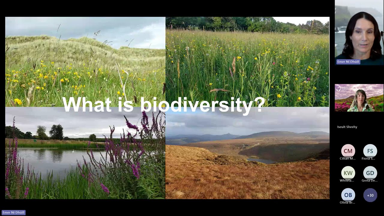 Starting Your Nature Positive Journey with Business For Biodiversity Ireland