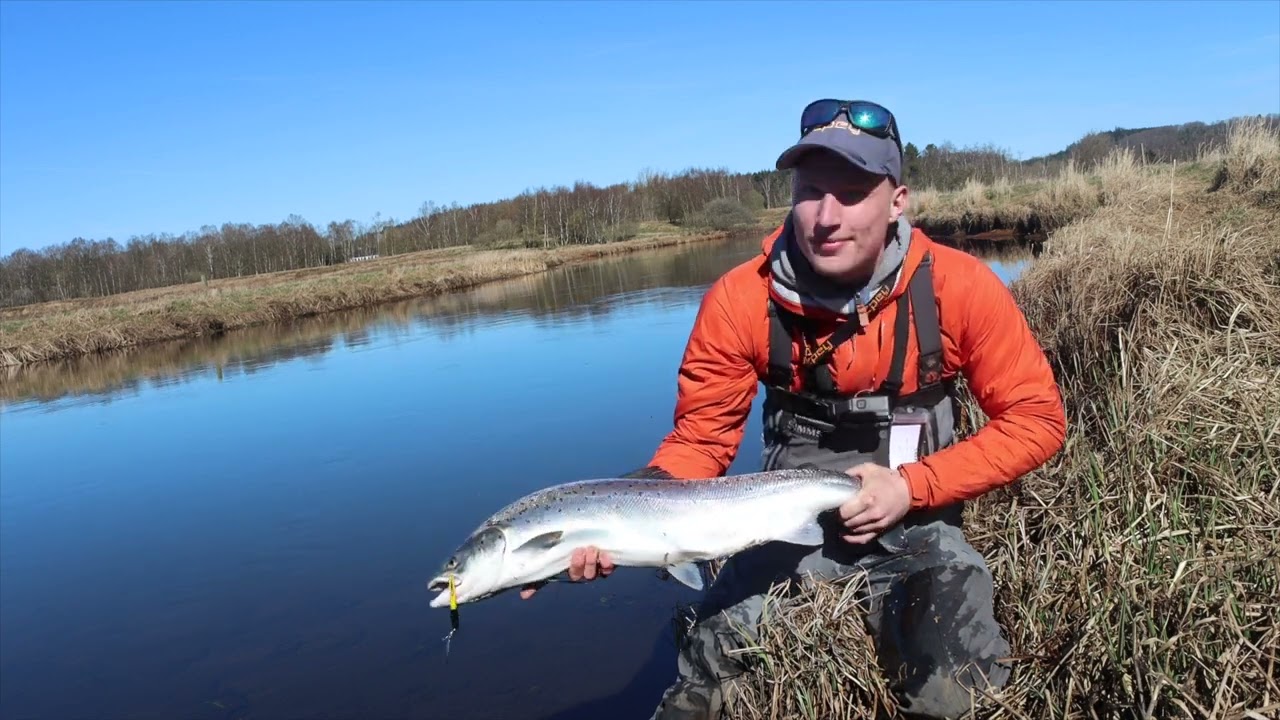 Laksefiskeri i Gudenåen 1  April