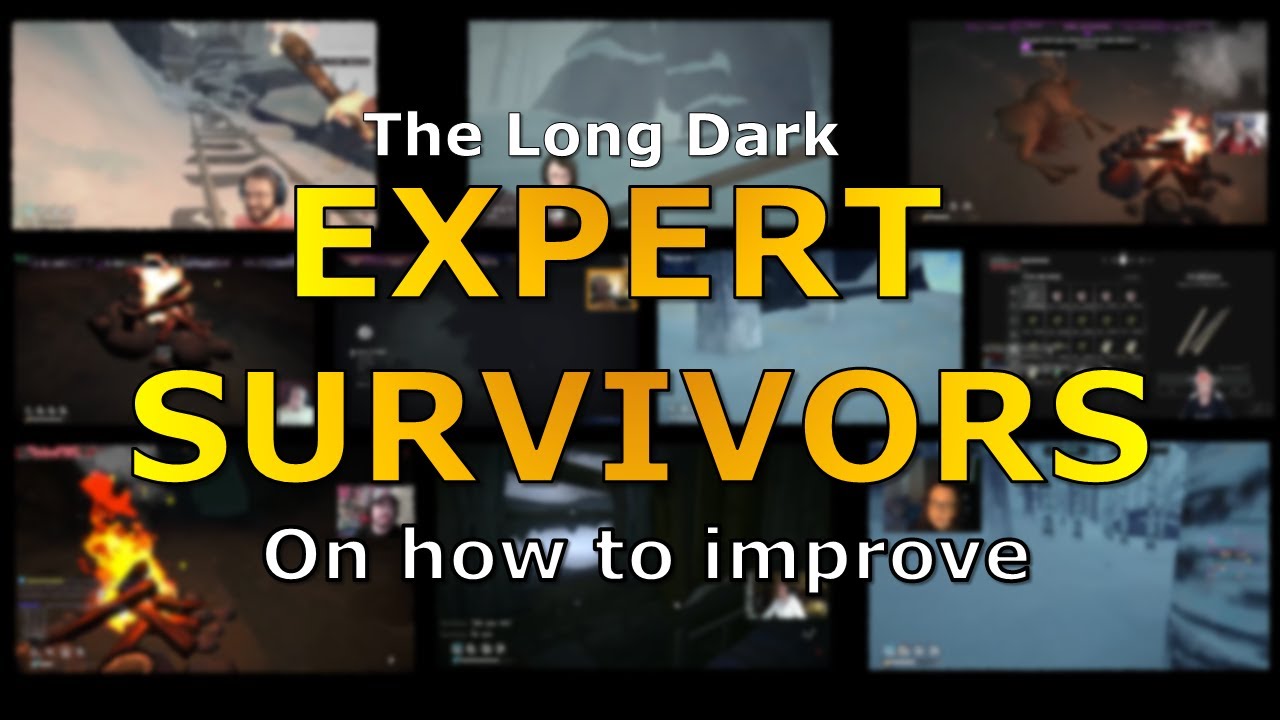 Советы по выживанию от опытных игроков The Long Dark