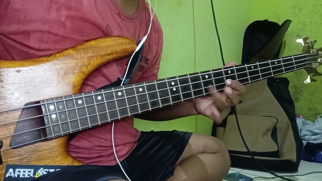 Wali band - ada gajah di balik batu | cover bass