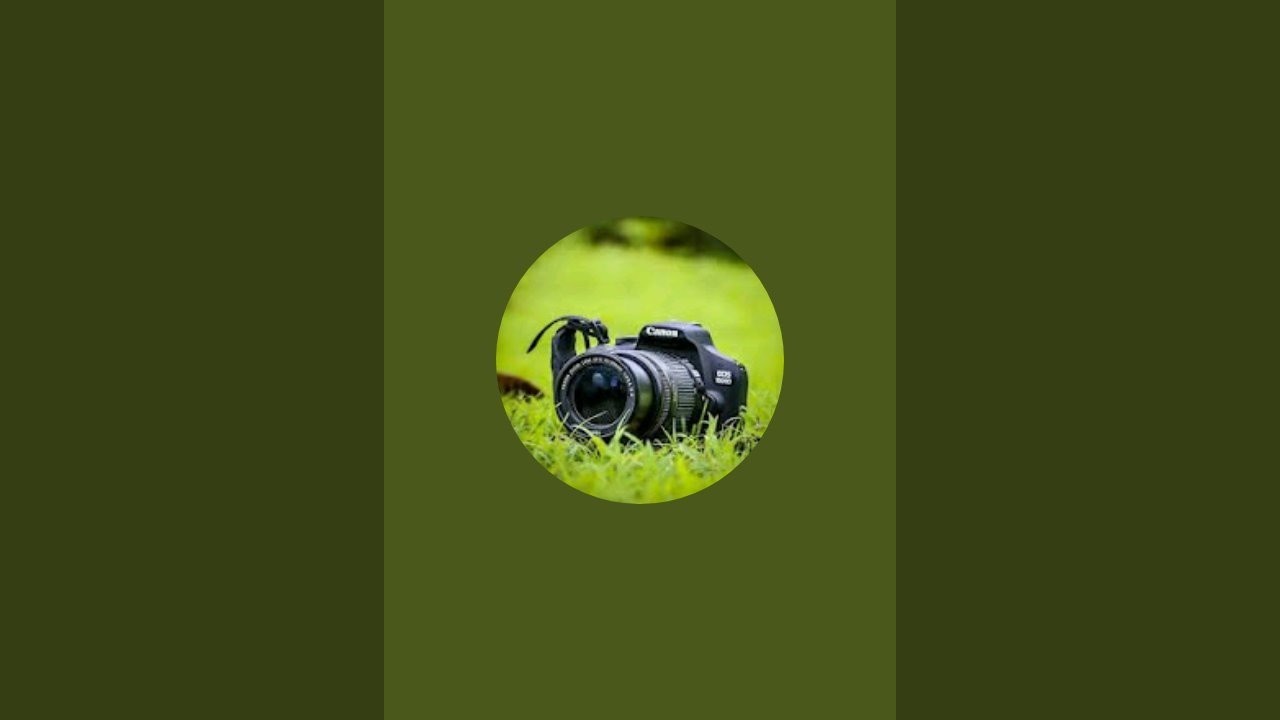 Nikon camera photo shoot | 70-300 mm zoom lens | Photo shoot video | 