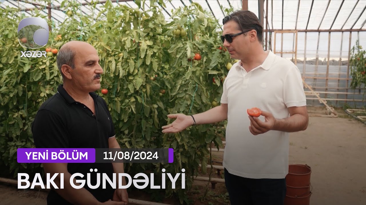 Bakı Gündəliyi - 11.08.2024