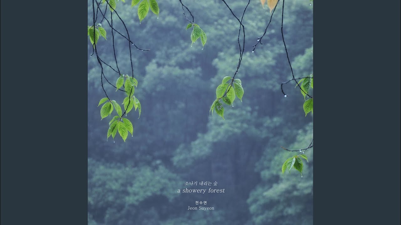 소나기 내리는 숲 (a showery forest)