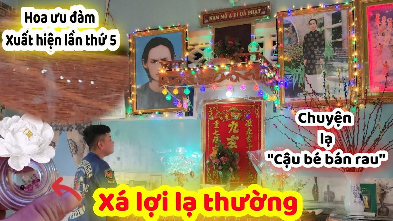 🔴Chuyện Lạ : Hoa Ưu Đàm Xuất Hiện Tiếp Tục Lần Thứ 5 Ngay Nhà 