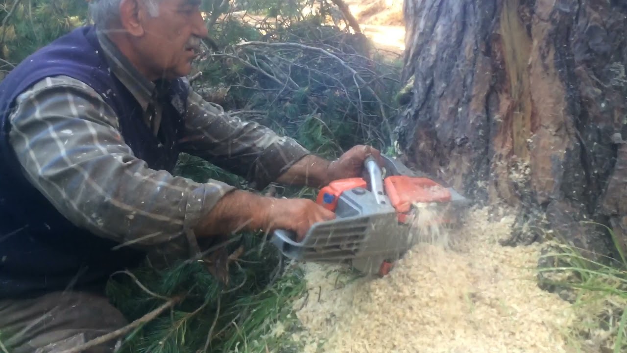 ZOMAX 5410 çalışmaya devam.