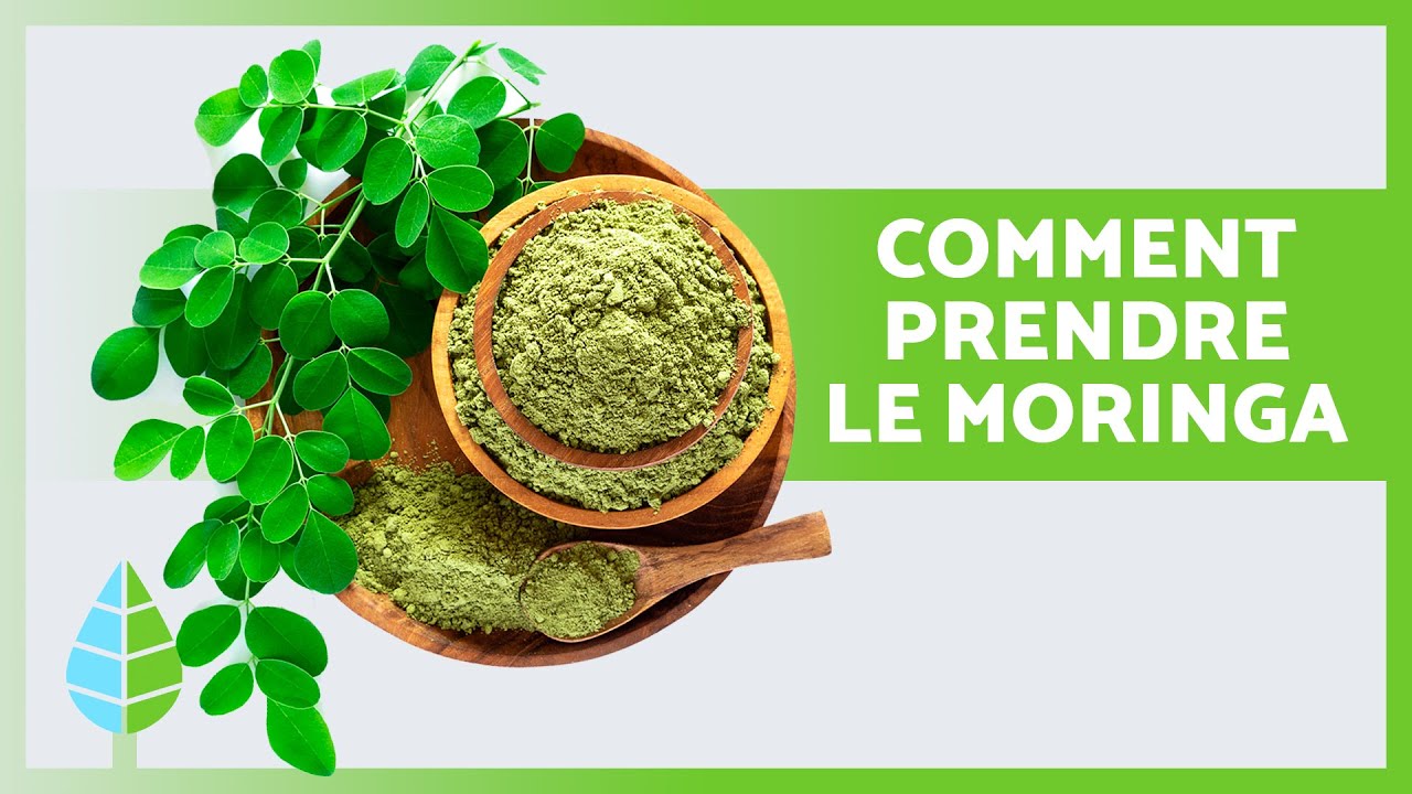 5 FAÇONS de CONSOMMER le MORINGA 🌿 Bénéficiez de ses PROPRIÉTÉS MÉDICINALES !