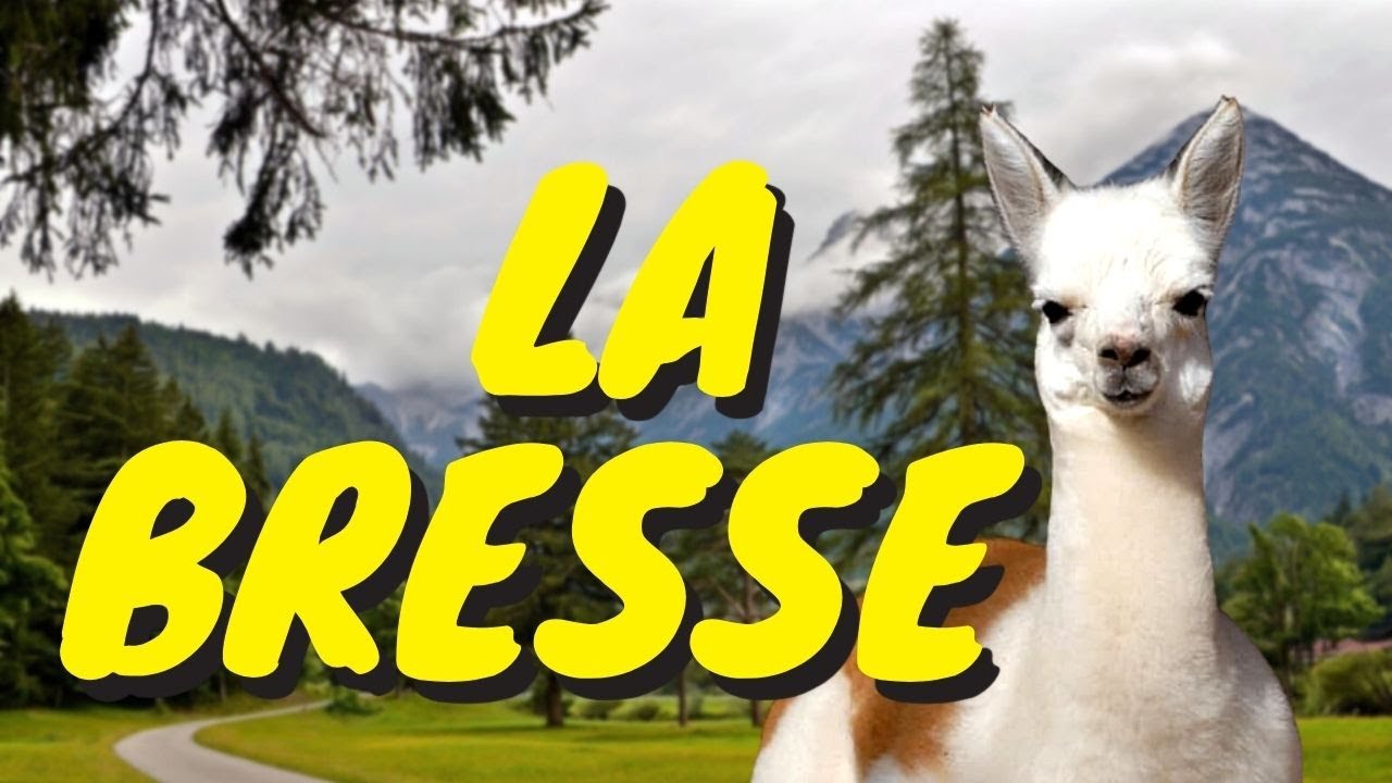 la montagne aux lamas et alpagas