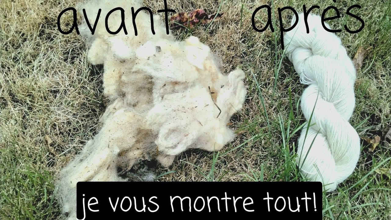 De la toison à  l’écheveau, je vous montre tout!