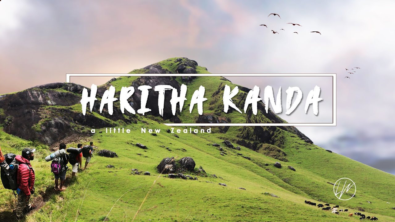 Haritha Kanda I Bopaththalawa I Travel Vlog #1