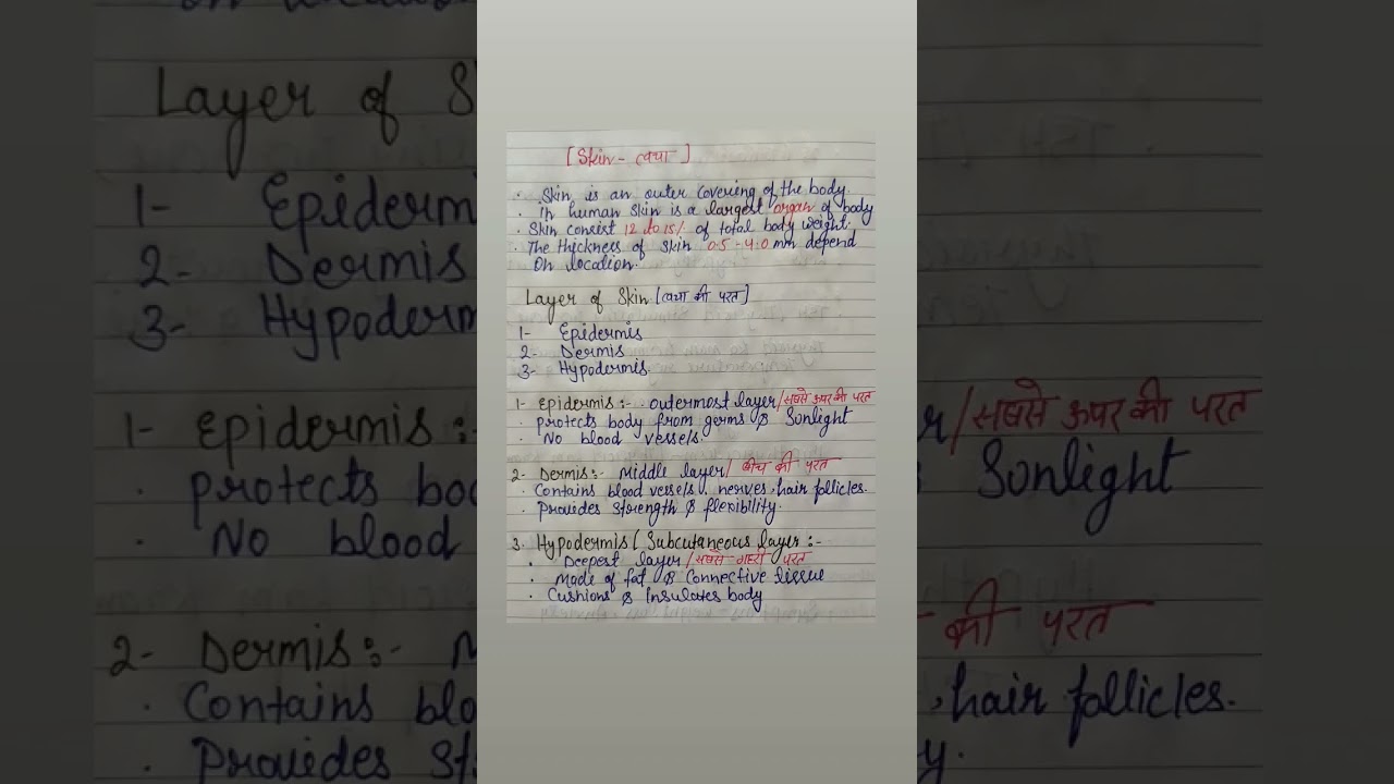 Layers of Skin: Epidermis, Dermis & Hypodermis (handwriting notes) 📝#lab #medicalstudent #shortvideo