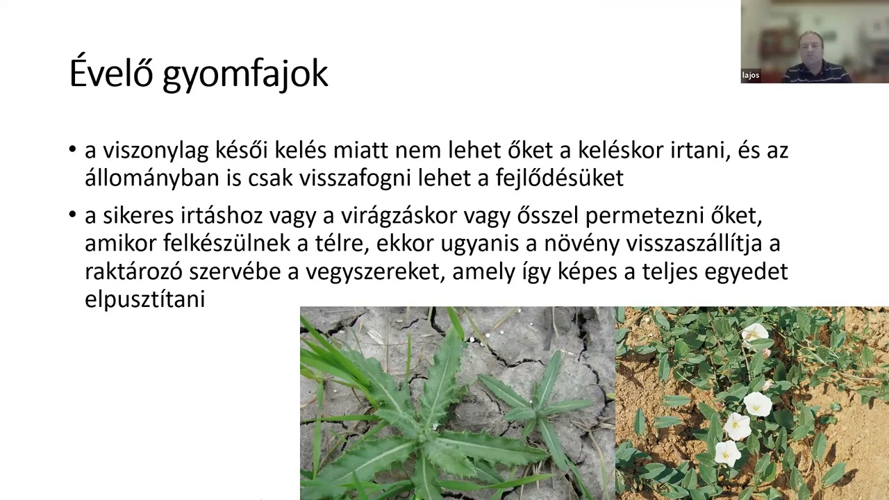 A talajmegújító gazdálkodás növényvédelmi oldala