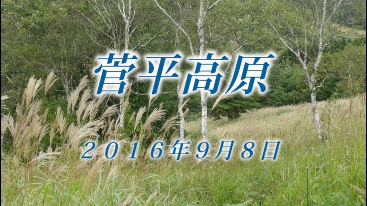 105 上信越 菅平高原9月 2016年9月8日ダボススキー場 - 生物多様性体験保全センター 高山植物を主とした野生植物の映像集