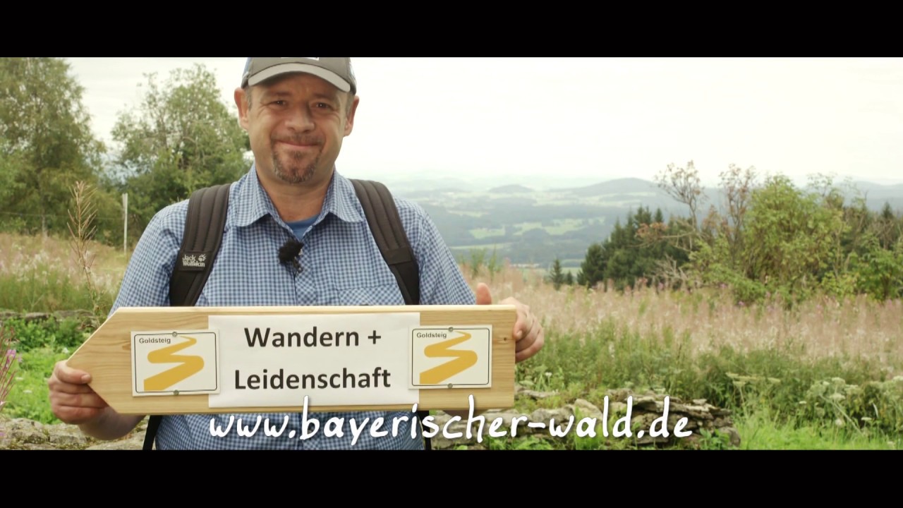 Der Goldsteig: Purer Wandergenuss im Bayerischen Wald