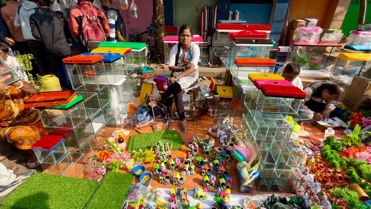 Aquarium Toys Price In Kolkata | Aquarium Accessories In Galiff Street 2025| Turtle, Betta Tank, co2