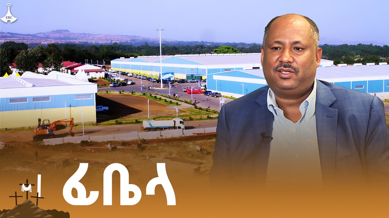 የፊቤላ ምግብ ዘይት ፋብሪካ የምርት እንቅስቃሴ   ETV | EBC | EBCDOTSTREAM