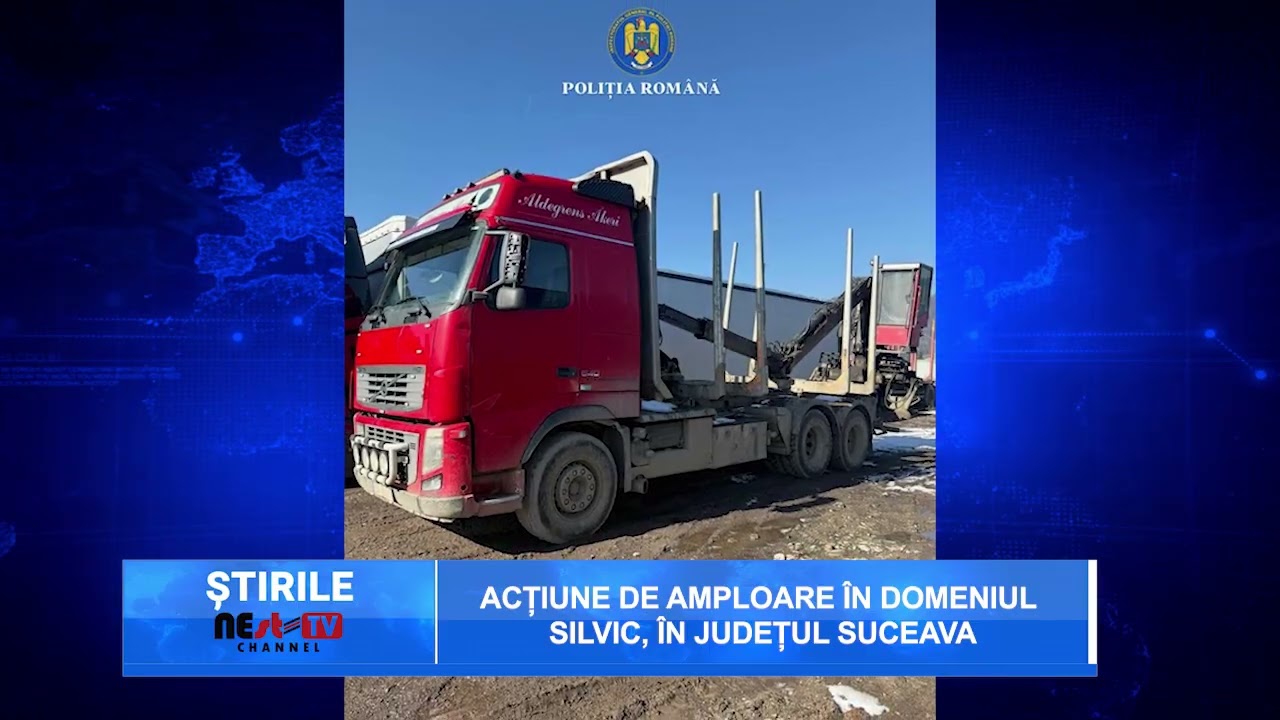 Acțiune de amploare în domeniul silvic, în județul Suceava