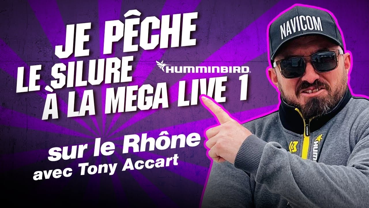 Silure en Verticale sur le Rhône : Tony Dompte les silures en Conditions Difficiles !